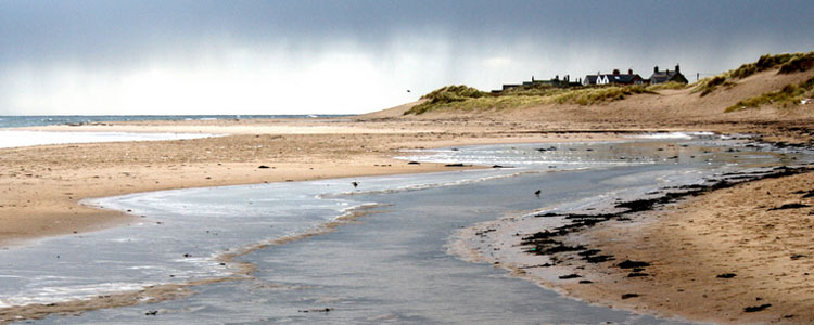 Image by https://www.flickr.com/photos/dougbelshaw/ image cropped