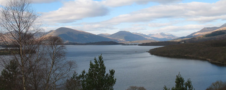 Image by https://www.flickr.com/photos/scoobygirl/ image cropped